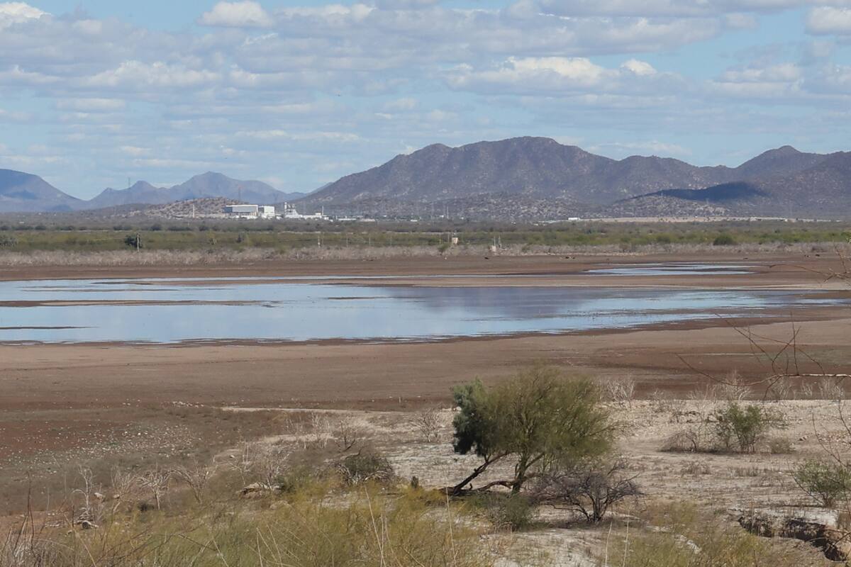 Diputados trabajan en dictamen para reformar Ley General de Aguas a finales de agosto