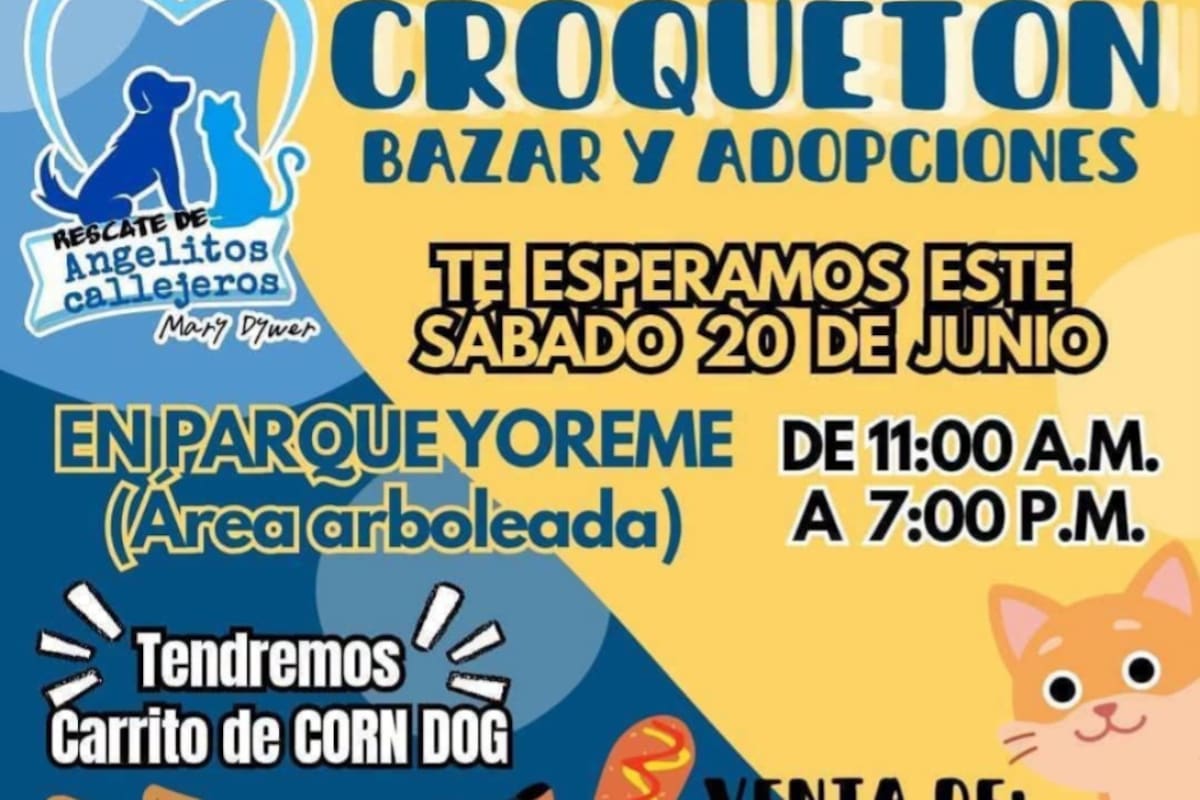 Angelitos Callejeros organiza Croquetón para ayudar a animales rescatados en San Luis Río Colorado