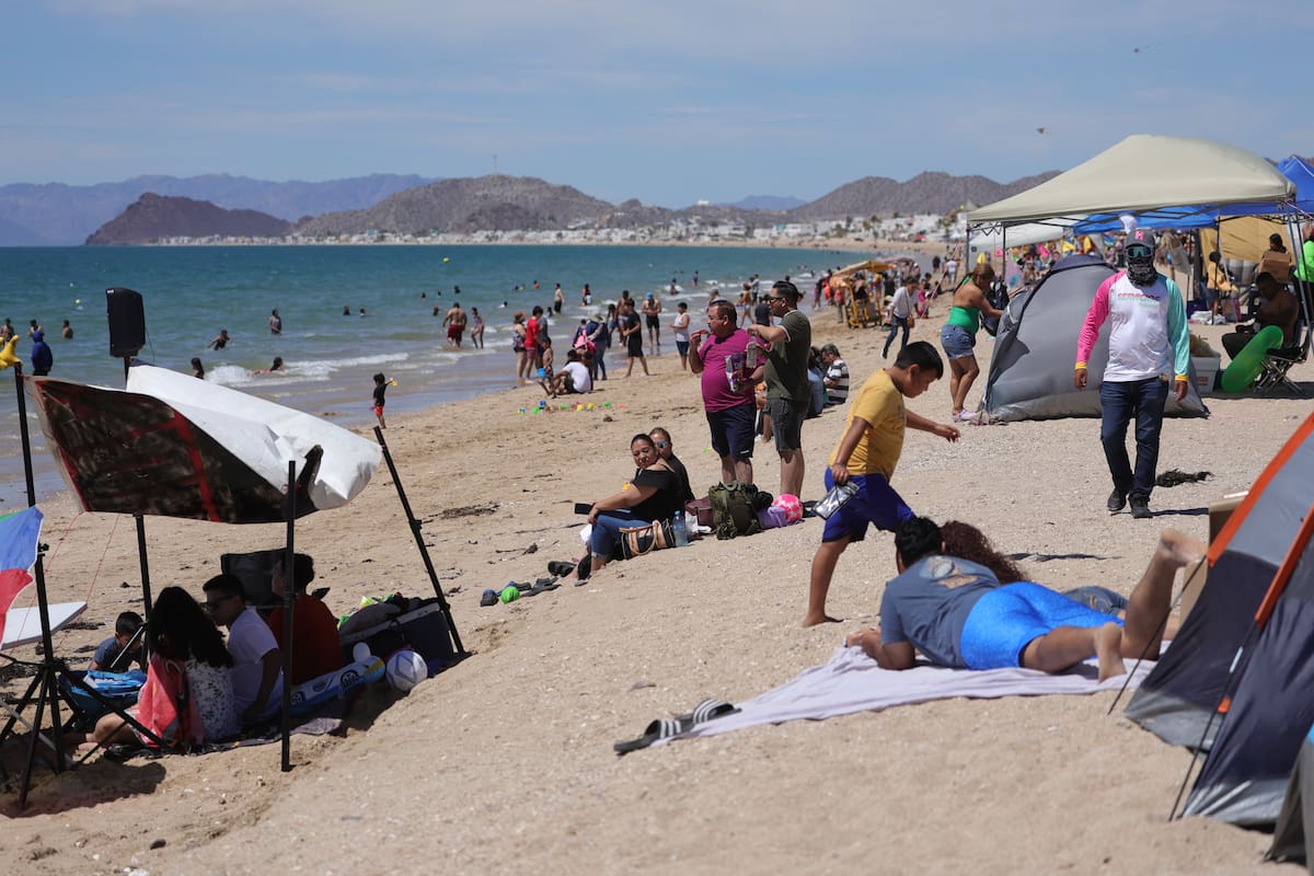 VIDEO: Avistan tiburón ballena en Bahía de Kino
