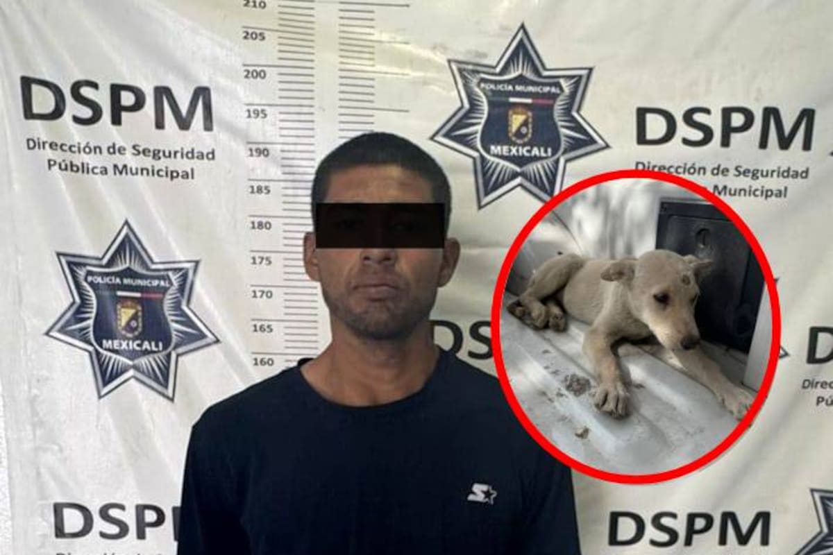 Golpea a su perro con un palo y es detenido por maltrato animal