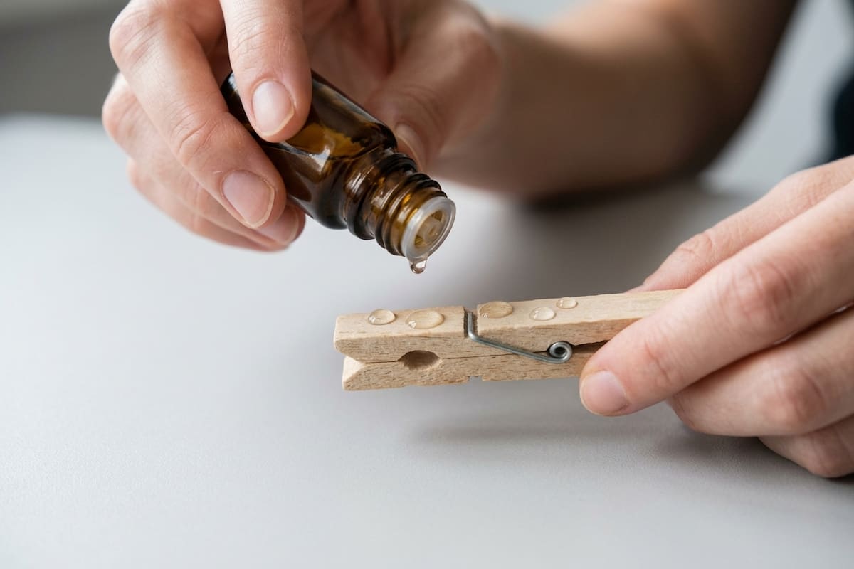Unas gotas de aceite esencial sobre la pinza ayudan a liberar la fragancia con el flujo de aire.