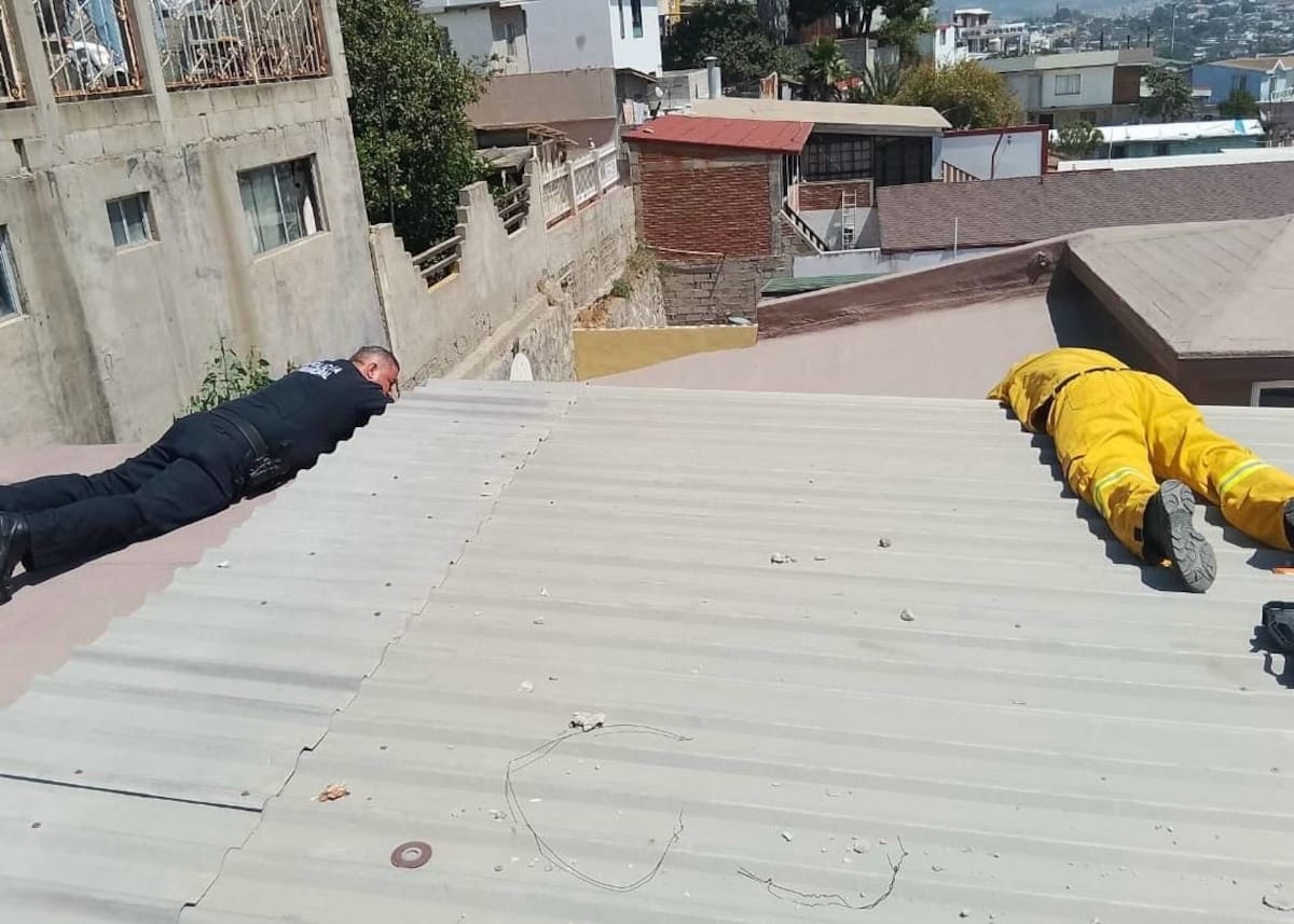 El personal realizó maniobras para liberar al cachorro felino logrando el rescate con éxito. Foto: Cortesía