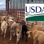 Anuncia la USDA la reapertura gradual de la frontera al ganado mexicano el 24 de agosto; podría suspenderse si identifica riesgos es Sonora y Chihuahua
