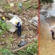 ¿Cómo se eligen los nombres de tormentas tropicales y huracanes? La OMM usa listas que se repiten cada ciertos años y pueden ser retirados al causar graves impactos