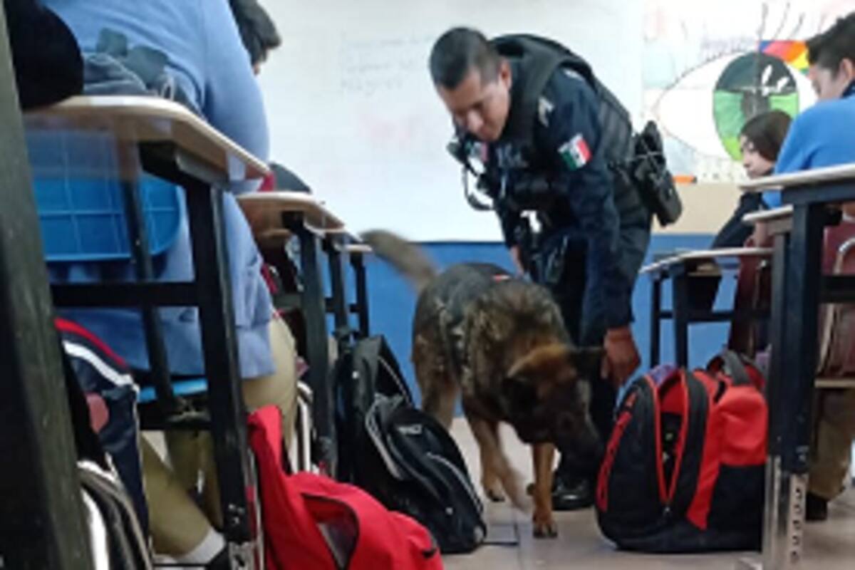 Dan segunda oportunidad a estudiantes que introducen drogas a planteles educativos