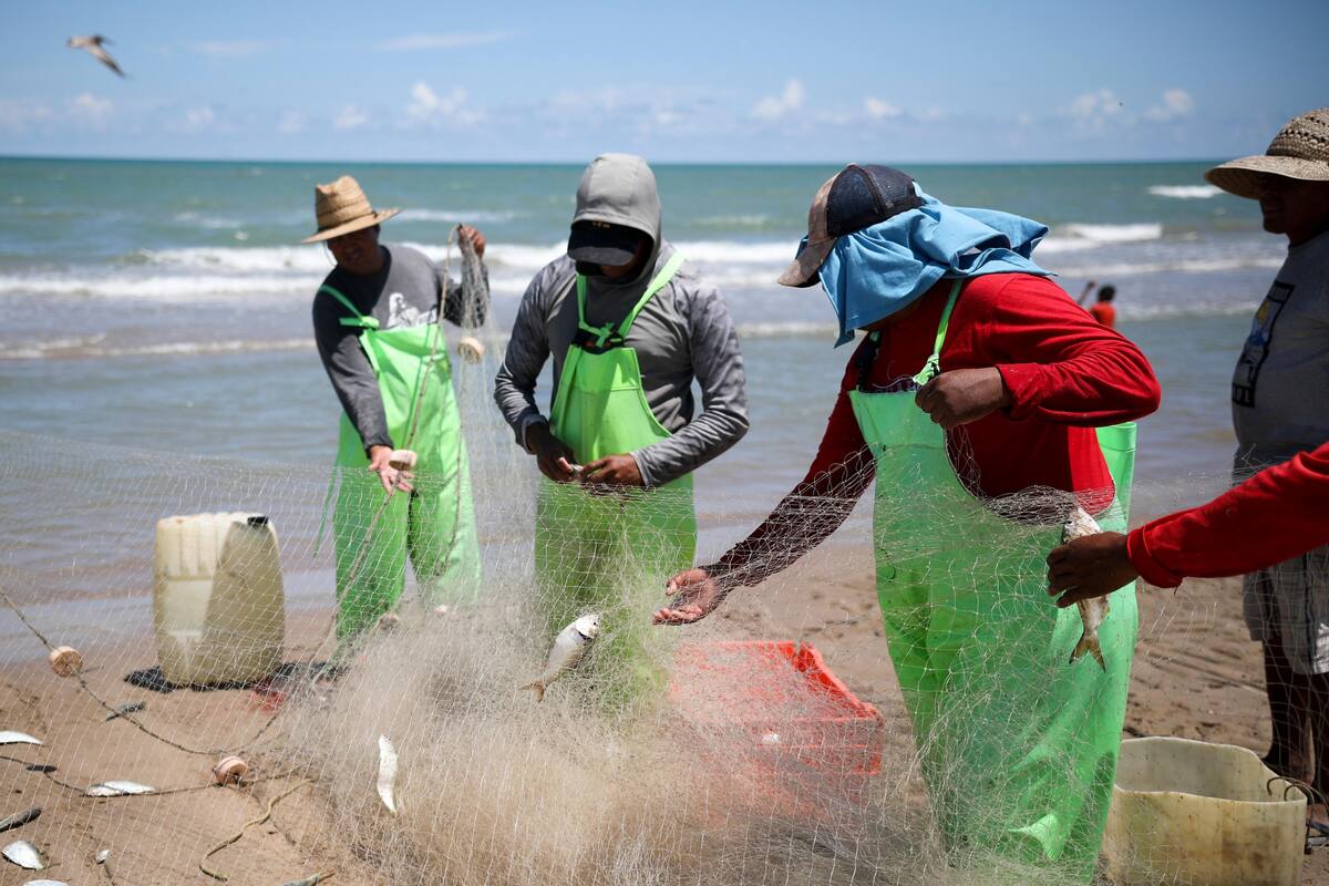 Entregarán 39 mdp a pescadores y acuacultores de BC
