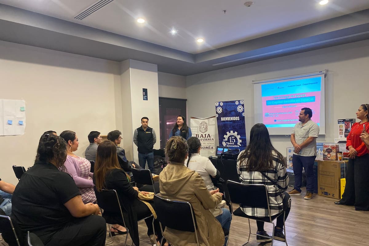 Servicios, los que más apoyo buscan entre emprendedores en BC