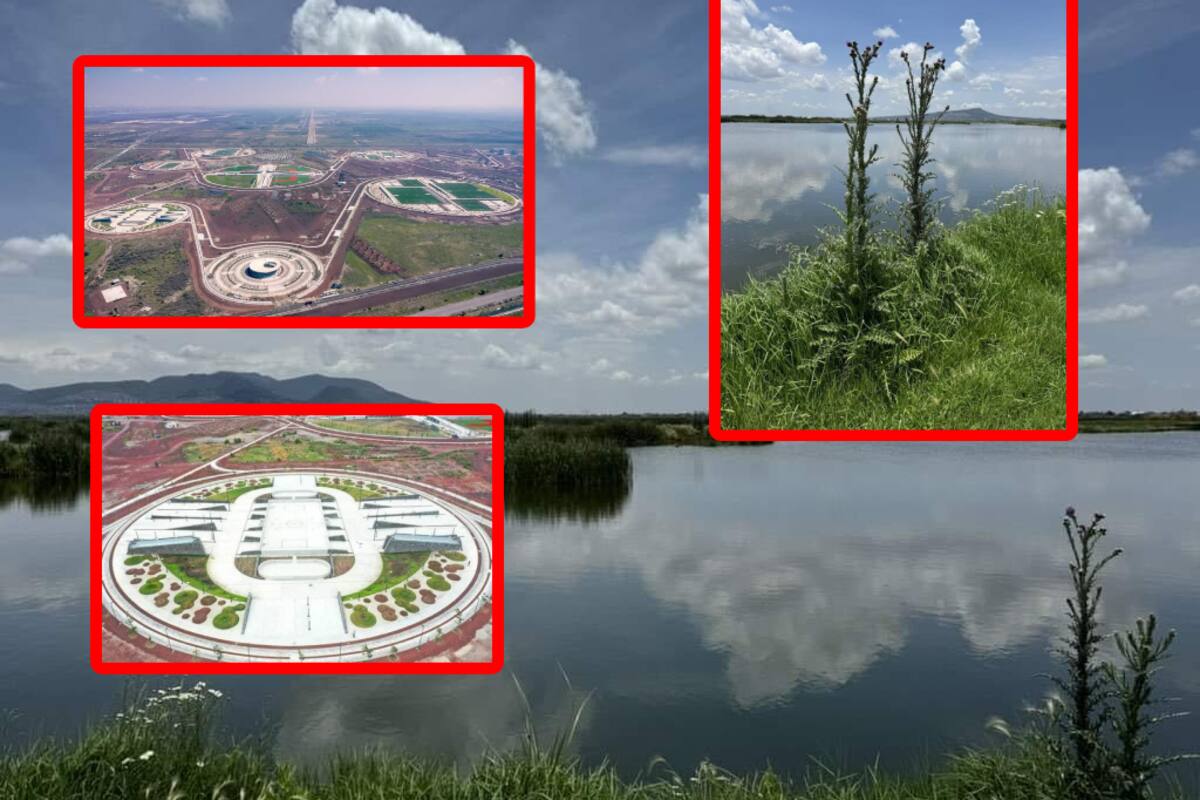 Parque Ecológico Lago de Texcoco donde iba a ser el NAIM: Habrá museos, restaurantes, estadios y zonas verdes