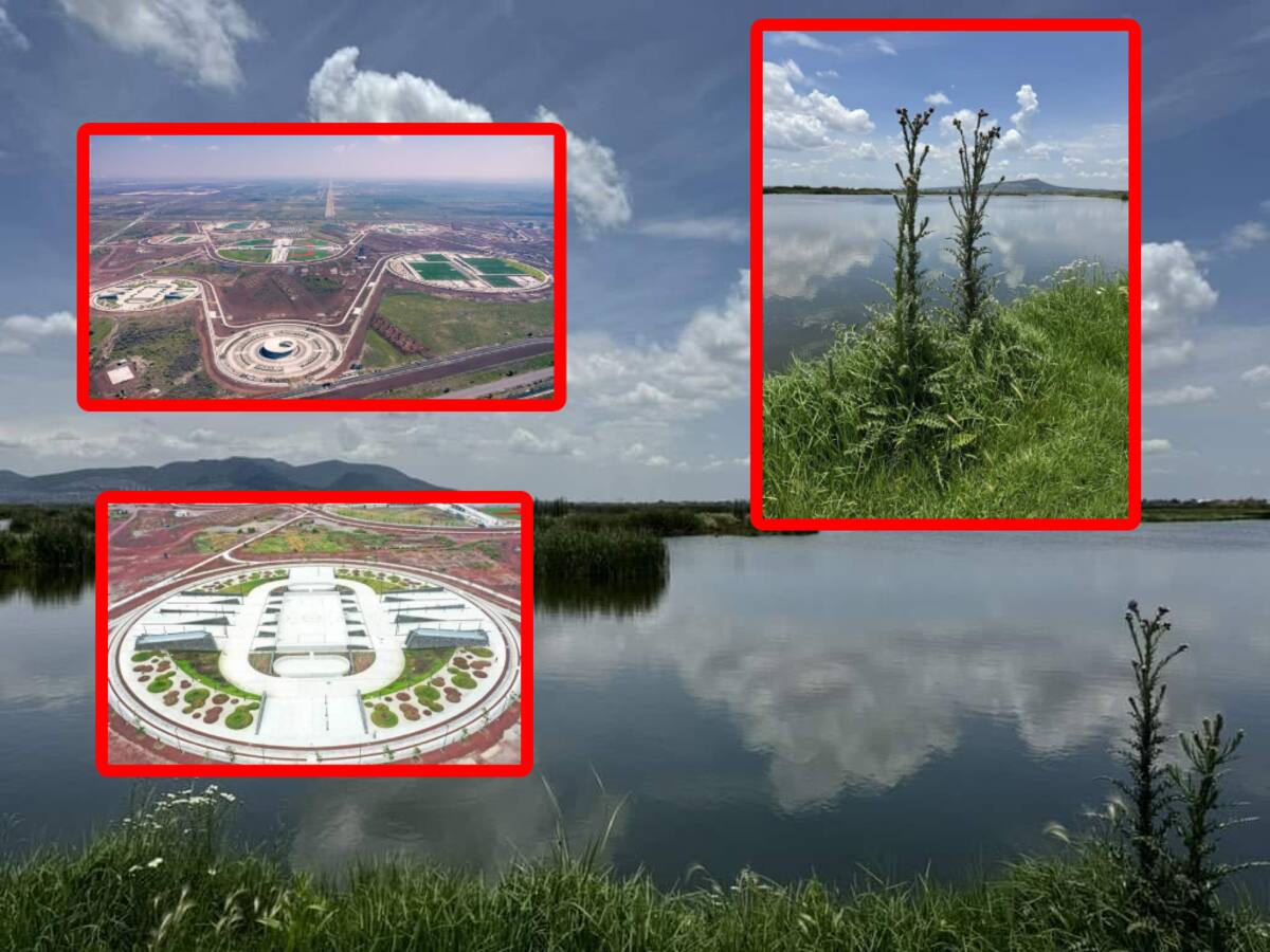 El Parque Ecológico Lago de Texcoco abrirá en agosto, transformando el área donde se planeaba el NAIM.