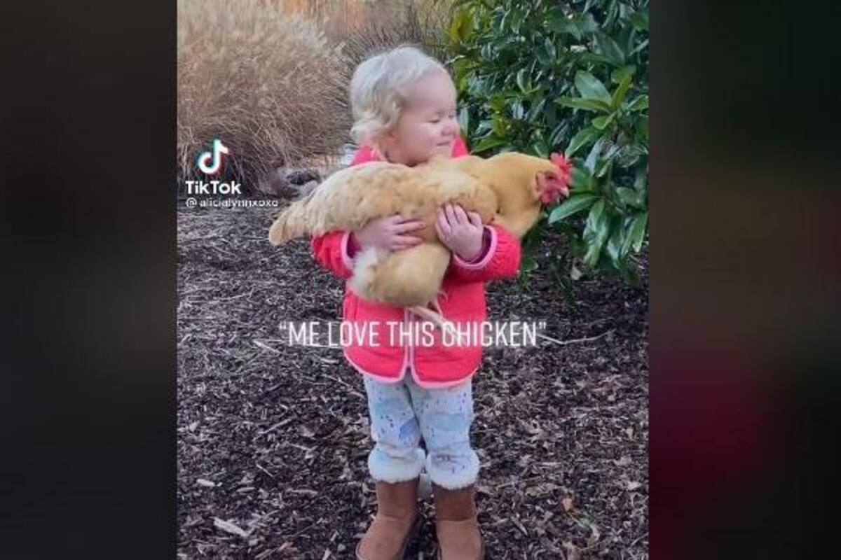 VIRAL: Niña muestra su amor por esta gallina