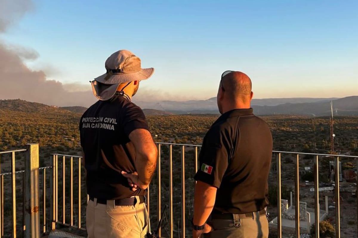 Sofocan al 100% incendio forestal ‘Guadalajara 2′ en Tecate