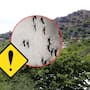 Hermosillo concentra el 44% de los casos activos de dengue en Sonora y Salud identifica las zonas de la ciudad con mayor riesgo de contagio