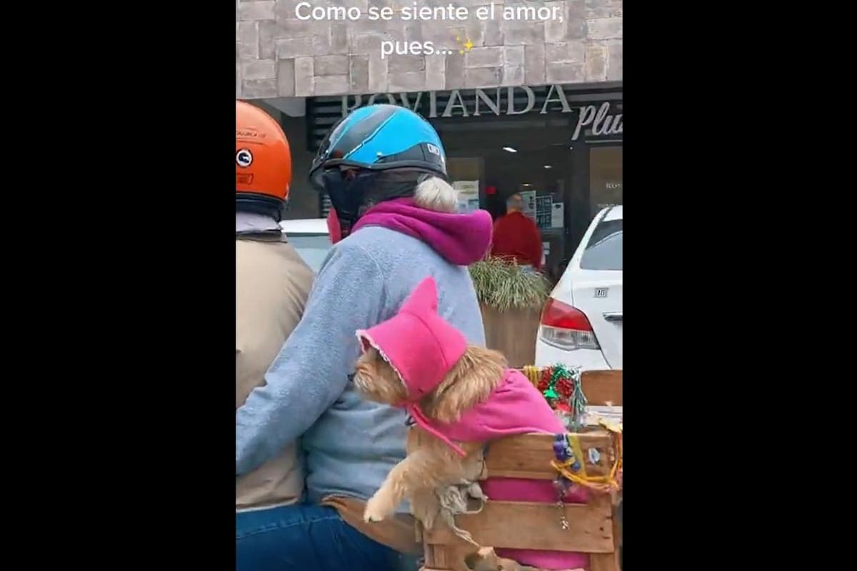 VIDEO TIKTOK: Pareja transforma su motocicleta para poder trasladar a su mascota