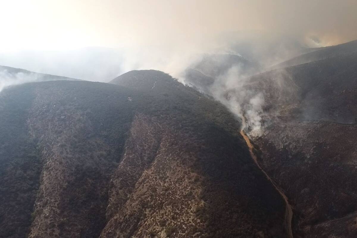 Continúa activo incendio forestal en zona del Libramiento Ensenada