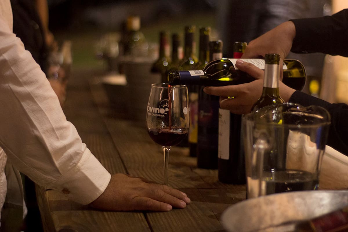 Arriban a BC jueces para concurso 'Ensenada Tierra del Vino'