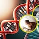Científicos editan genes de embriones humanos con precisión inédita, pero expertos advierten que hay riesgos antes de usarlo en bebés
