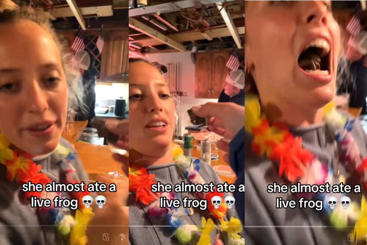 VIRAL: ¡joven casi se come una rana VIVA por error!