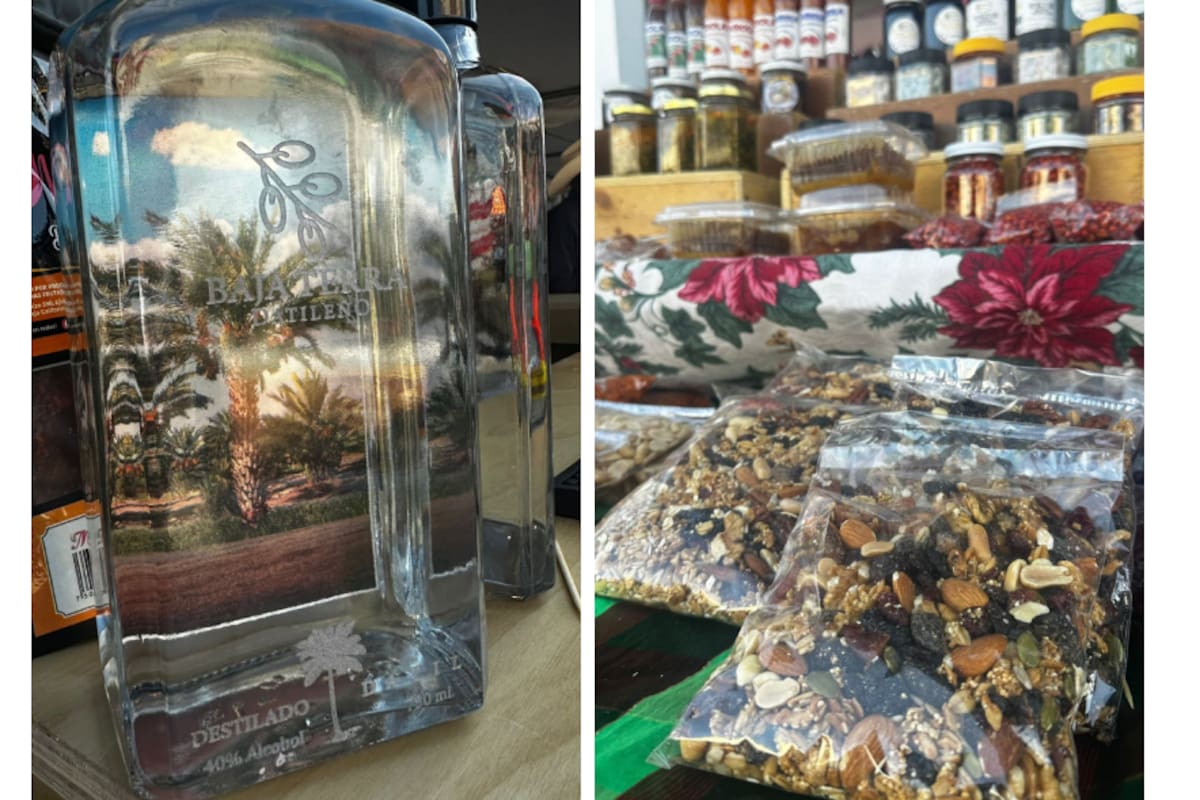 Mexicali es promesa internacional de producción de dátil