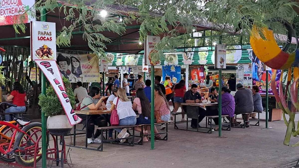 Se “disparan” las ventas de coqueros en la Laguna del Náinari