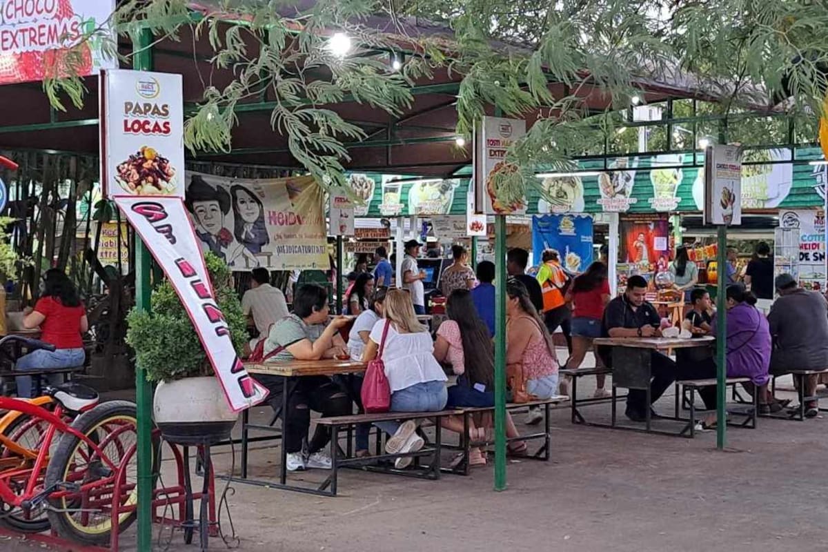 Se “disparan” las ventas de coqueros en la Laguna del Náinari