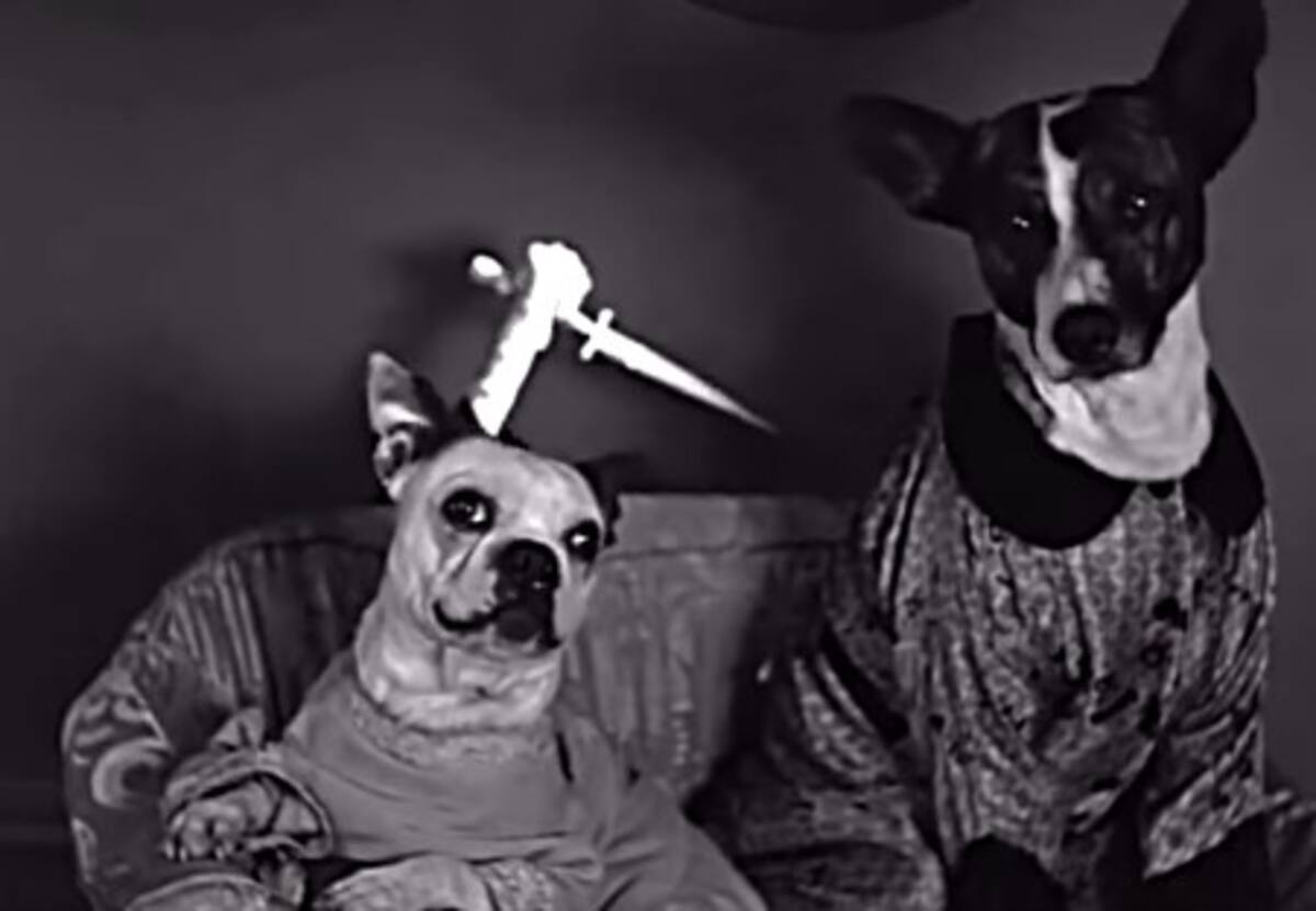 ‘Who Killed Rover?’: un thriller protagonizado por perros