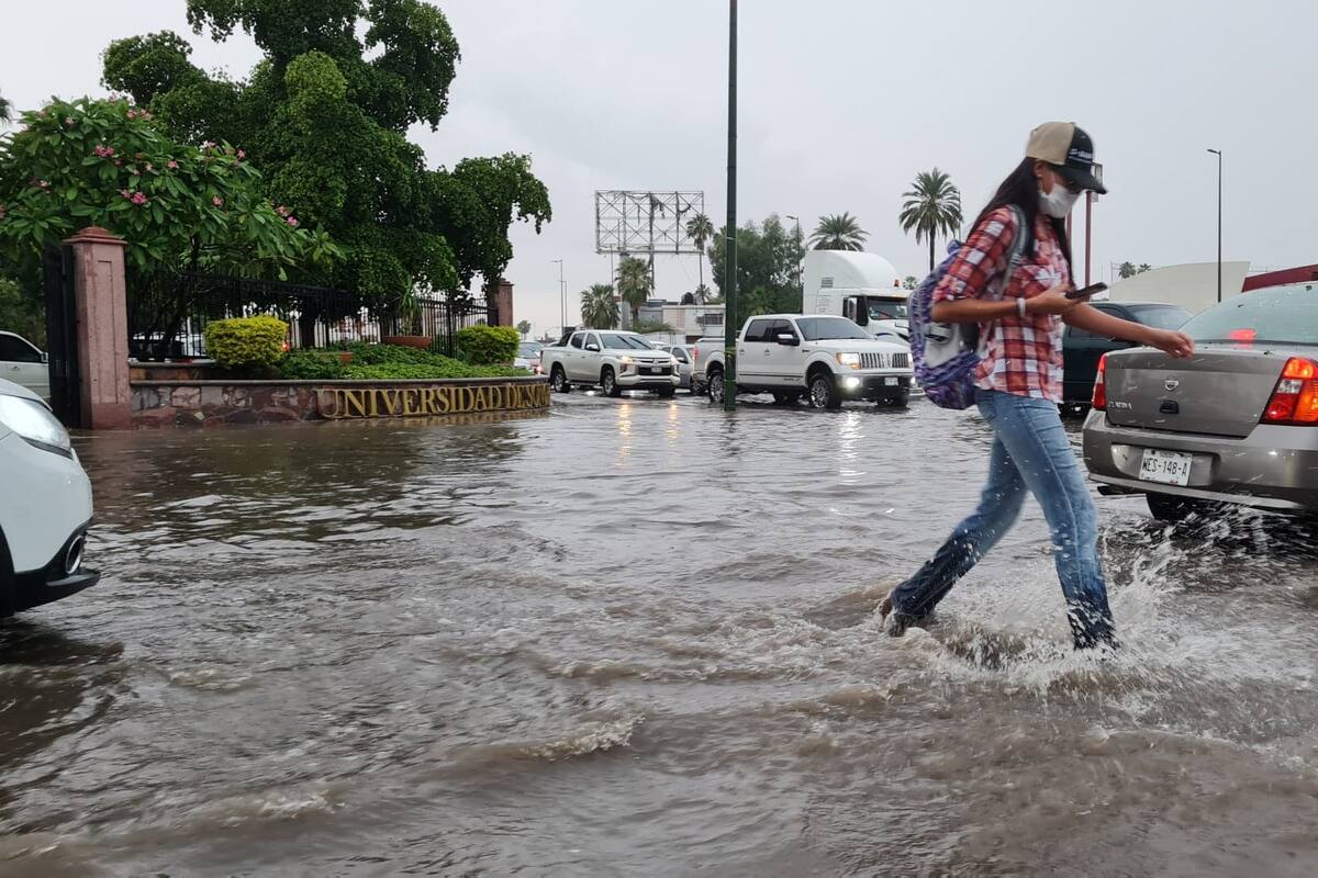 Lluvia en Hermosillo: Reportan caída de árboles y postes tras precipitación de esta tarde