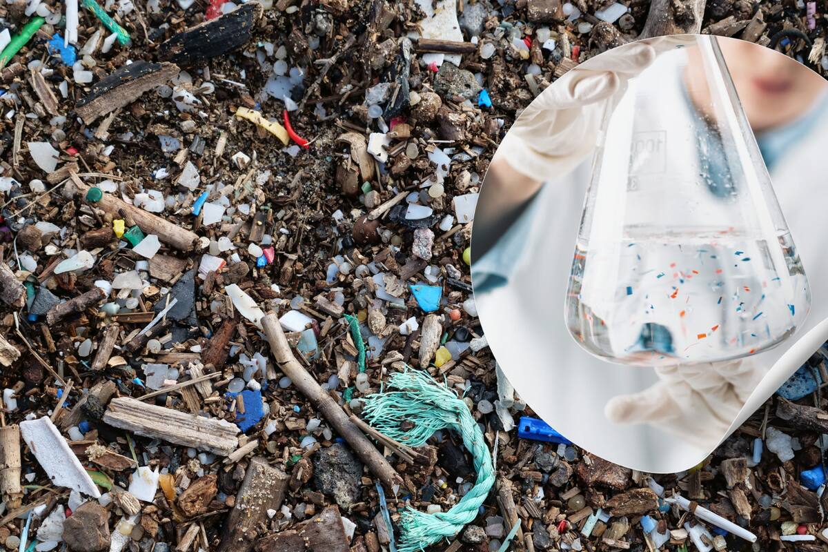 Muestras recientes de cerebro humano contienen el equivalente a una cucharada de nanoplásticos, según un estudio