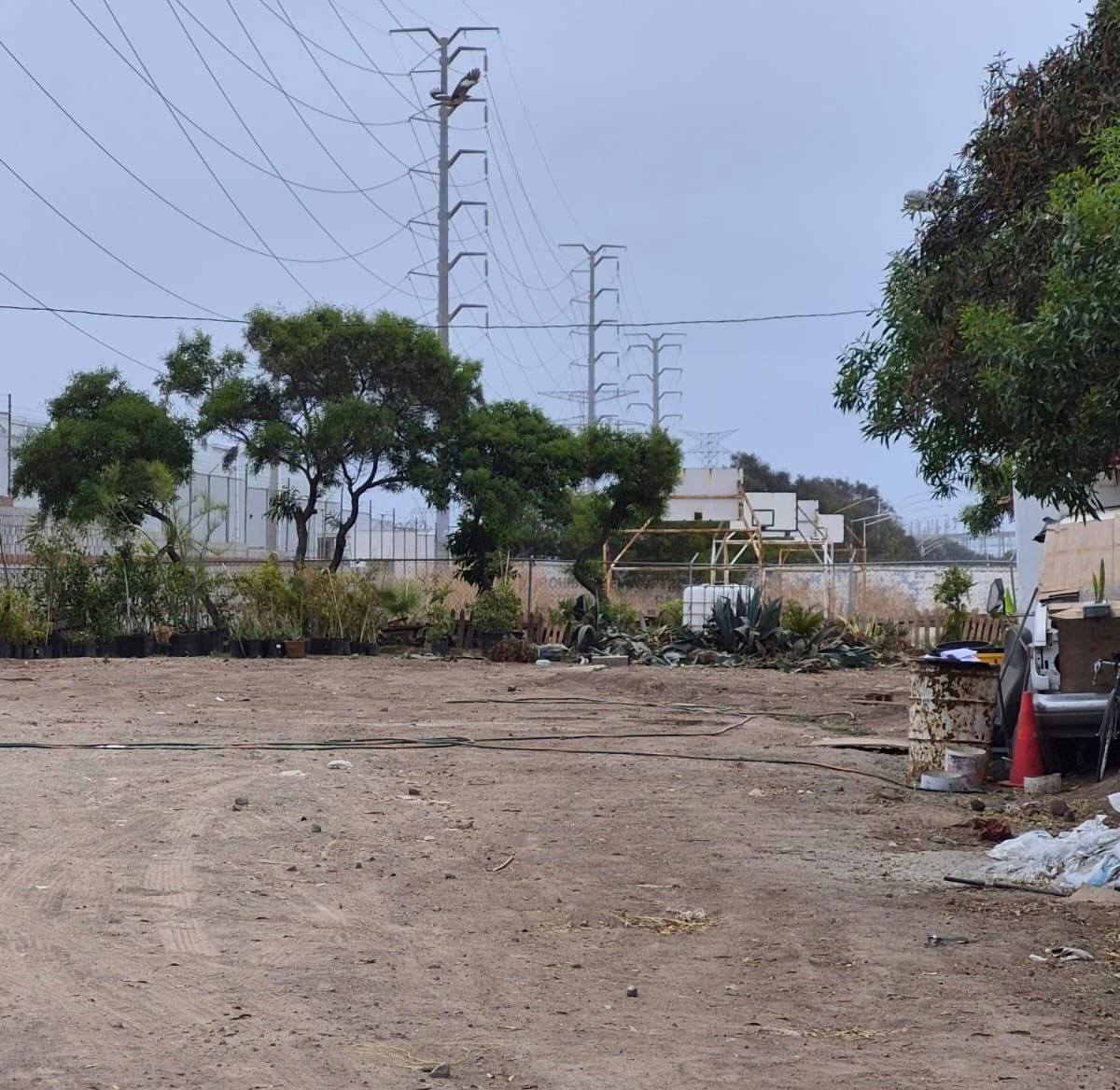 El espacio fue presentado como un proyecto clave para la producción de árboles y la reforestación de la ciudad, pero actualmente muestra signos de abandono, acumulación de basura y escasa vegetación. Foto: Carmen Gutiérrez.