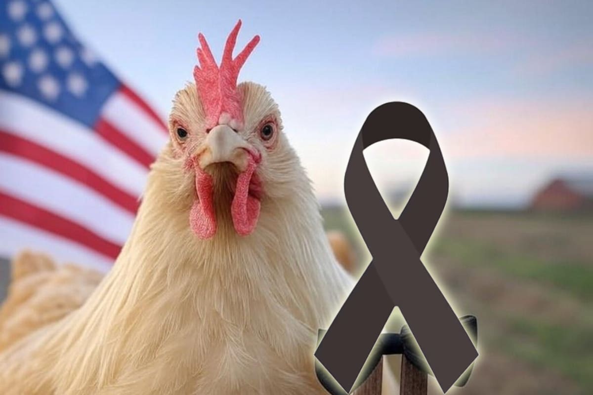 Reportan primera muerte por gripe aviar H5N1 en EU, esto se conoce
