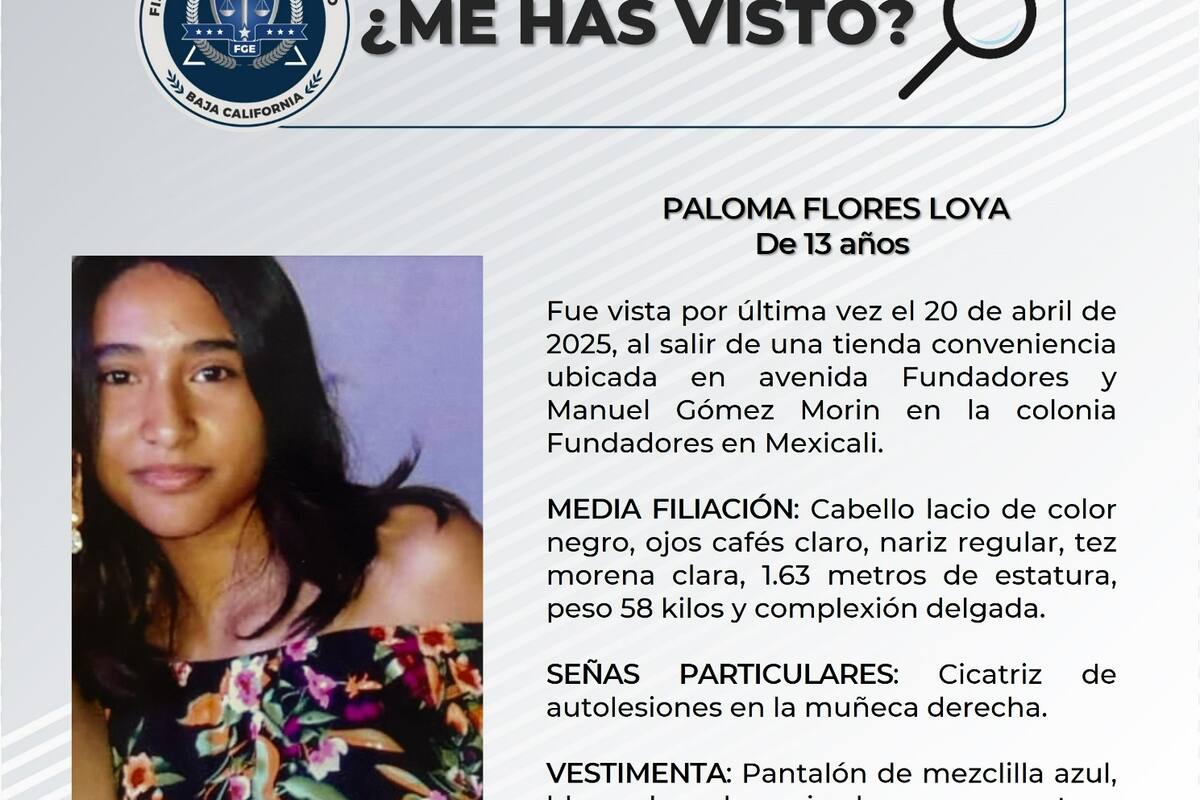 Pesquisa de Paloma Flores Loya