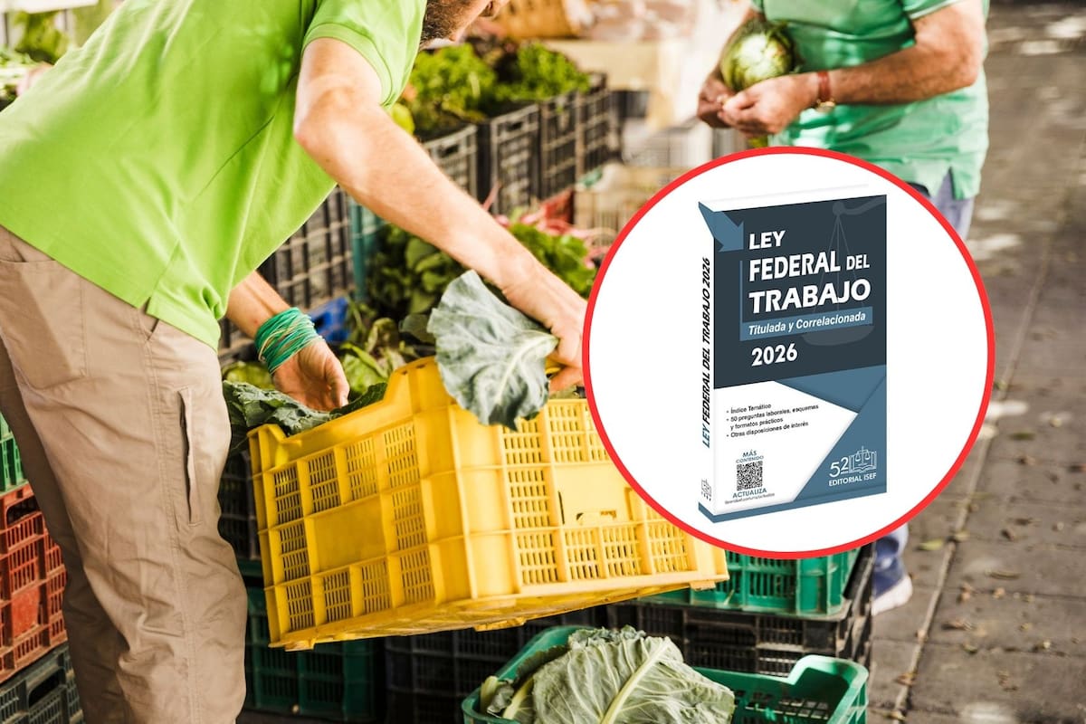 México condicionará las exportaciones agrícolas al cumplimiento de derechos laborales mediante el nuevo certificado VELAGRO, una medida que vincula las toneladas enviadas con el número real de jornales pagados ante la seguridad social