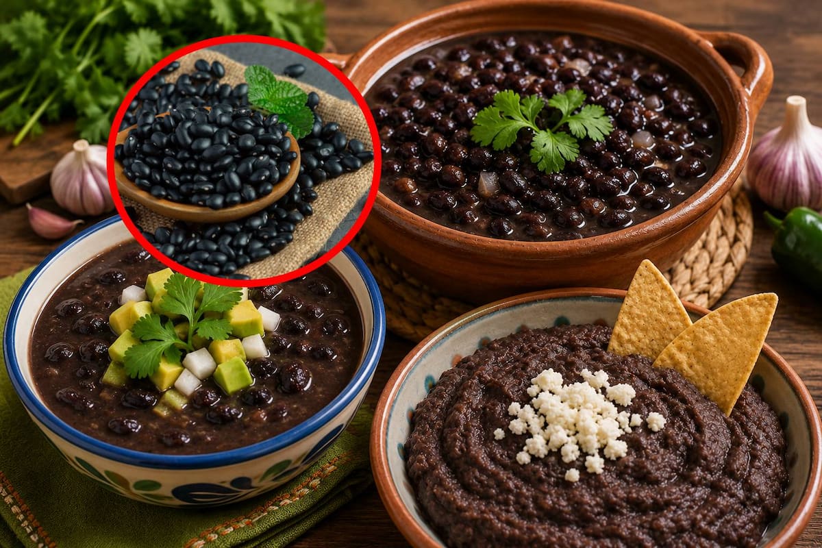 ¿Cuántos tipos de frijoles hay en México?: conoce las variedades, colores y sabores que existen