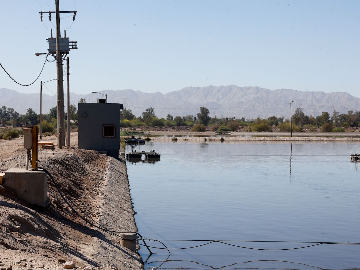 Foto: Juan J. Morales