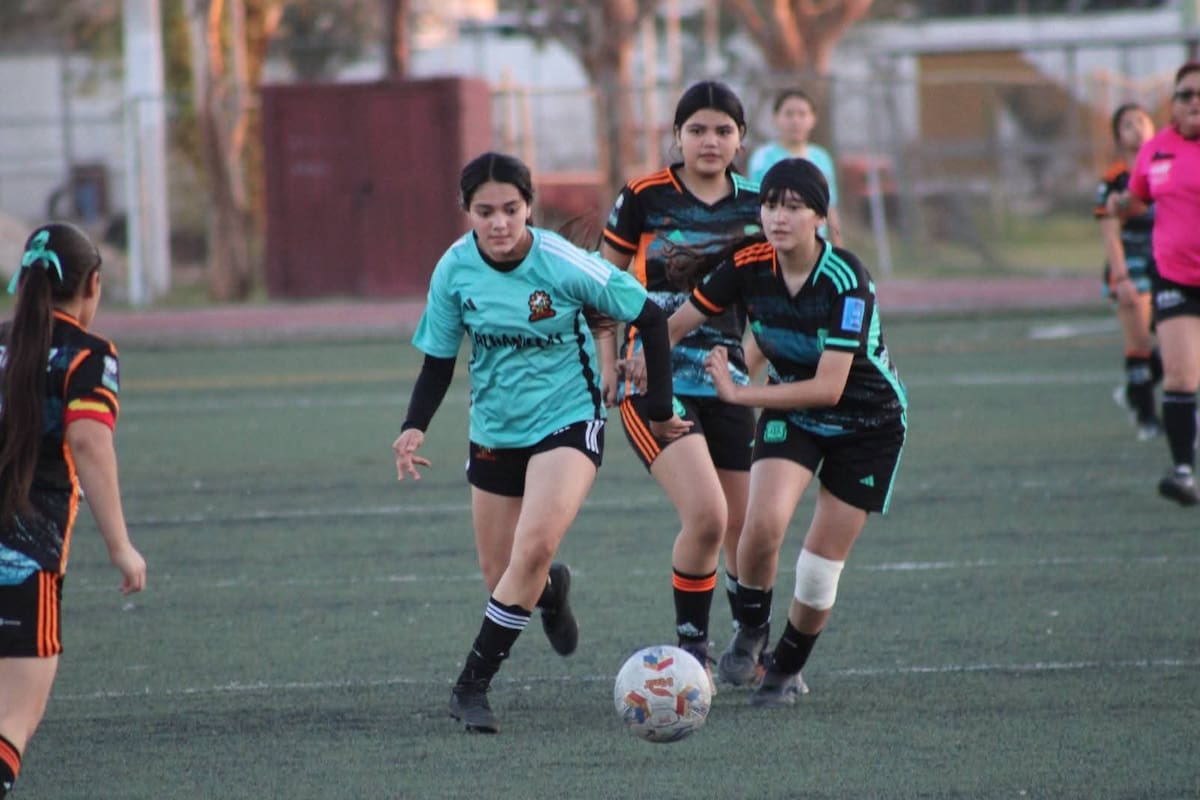 LUFF Sub 15 tendrá semifinales este fin de semana