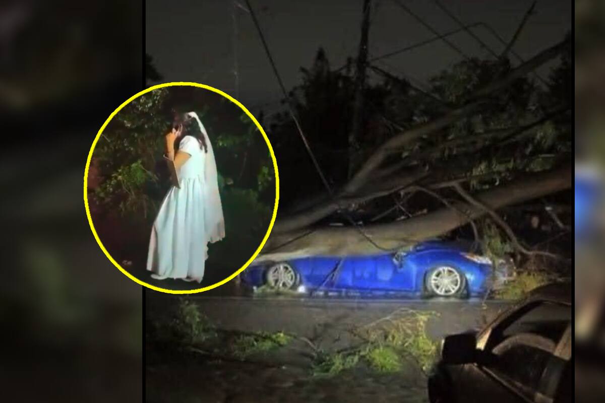 VIDEO: Novia queda atrapada en carretera al caerle árbol encima mientras iba de camino a su boda