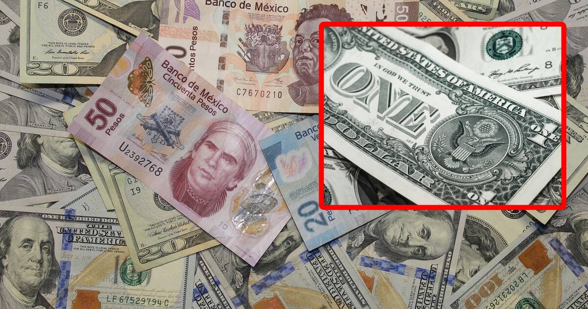 Peso mexicano se aprecia fuertemente frente el dólar este 17 de febrero del 2025 | Noticias de México | El Imparcial