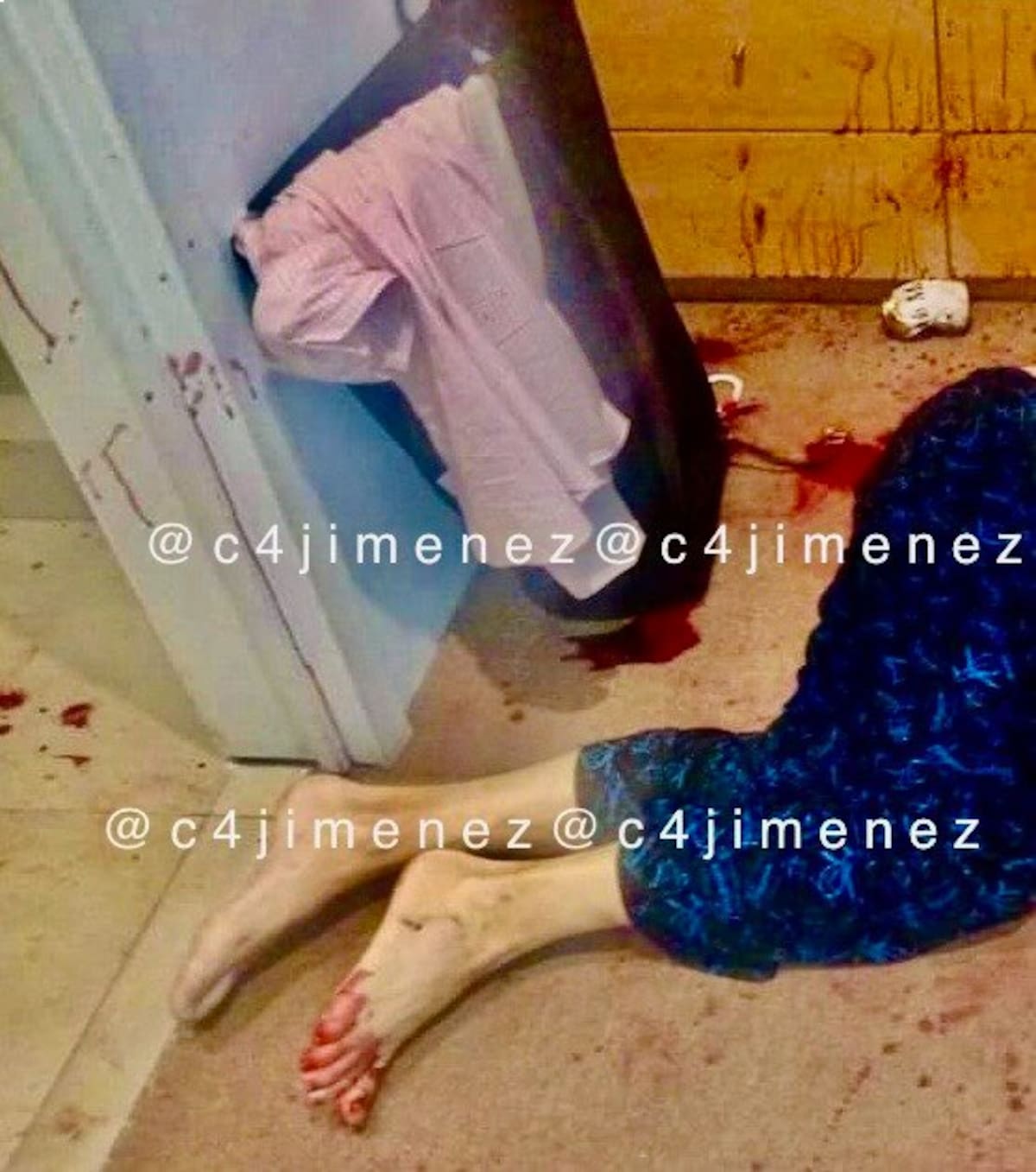 Patrick Landes Kenneth y sus dos perros fueron asesinados por su pareja en CDMX. Foto: X (@C4JImenez)