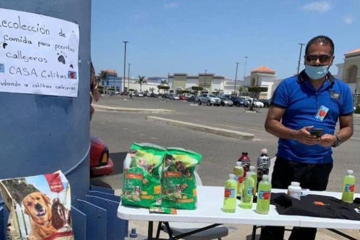 Joven busca abrir refugio para perros callejeros en Rosarito
