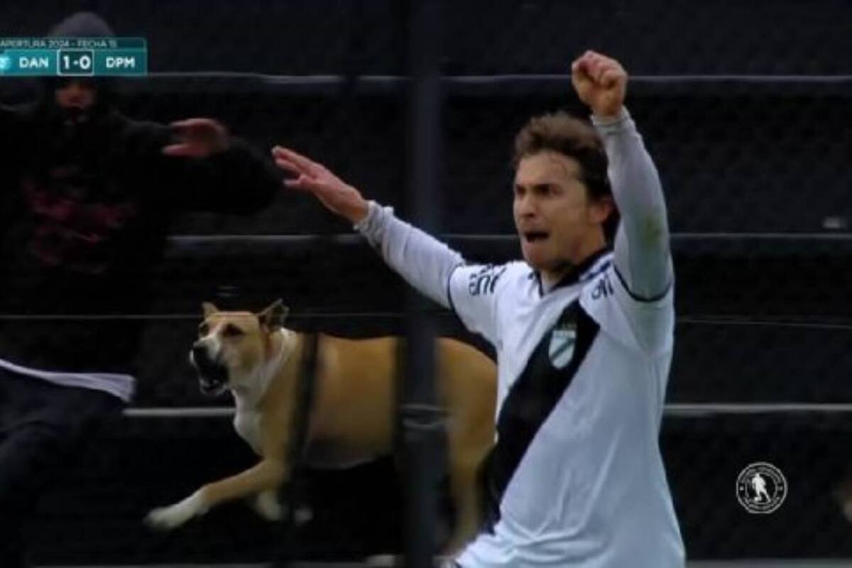 VIDEO: Perro festeja gol en estadio de la liga uruguaya y se vuelve viral