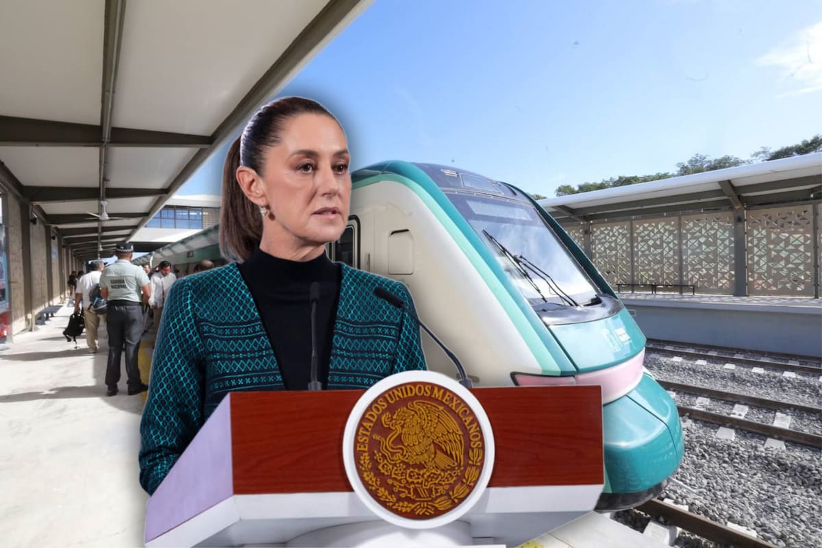 El Gobierno federal expropiará 5.03 hectáreas de terrenos ejidales en Yucatán, Campeche y Quintana Roo al declararlos de utilidad pública para las obras del Tren Maya de carga