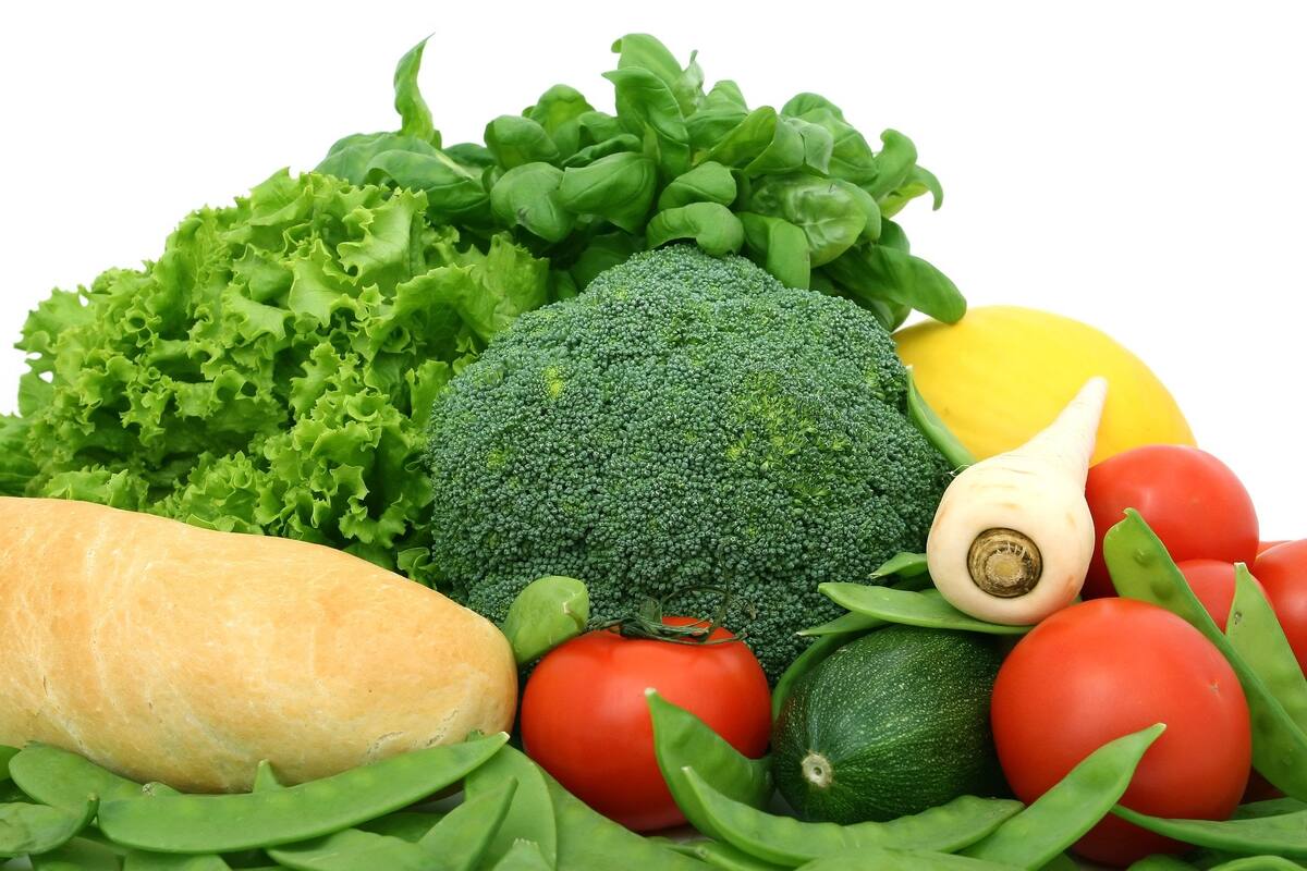 Hoy es el Día del Nutriólogo: Conoce lo importante que es visitarlo para tener una vida sana