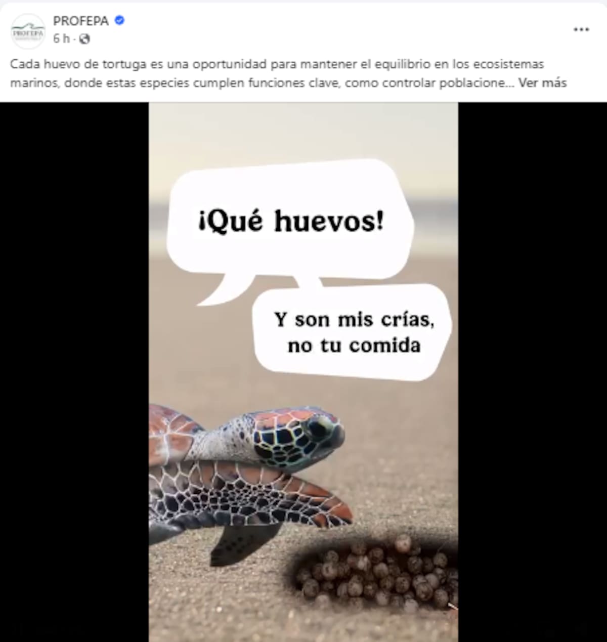 Captura de pantalla de PROFEPA en redes sociales.
