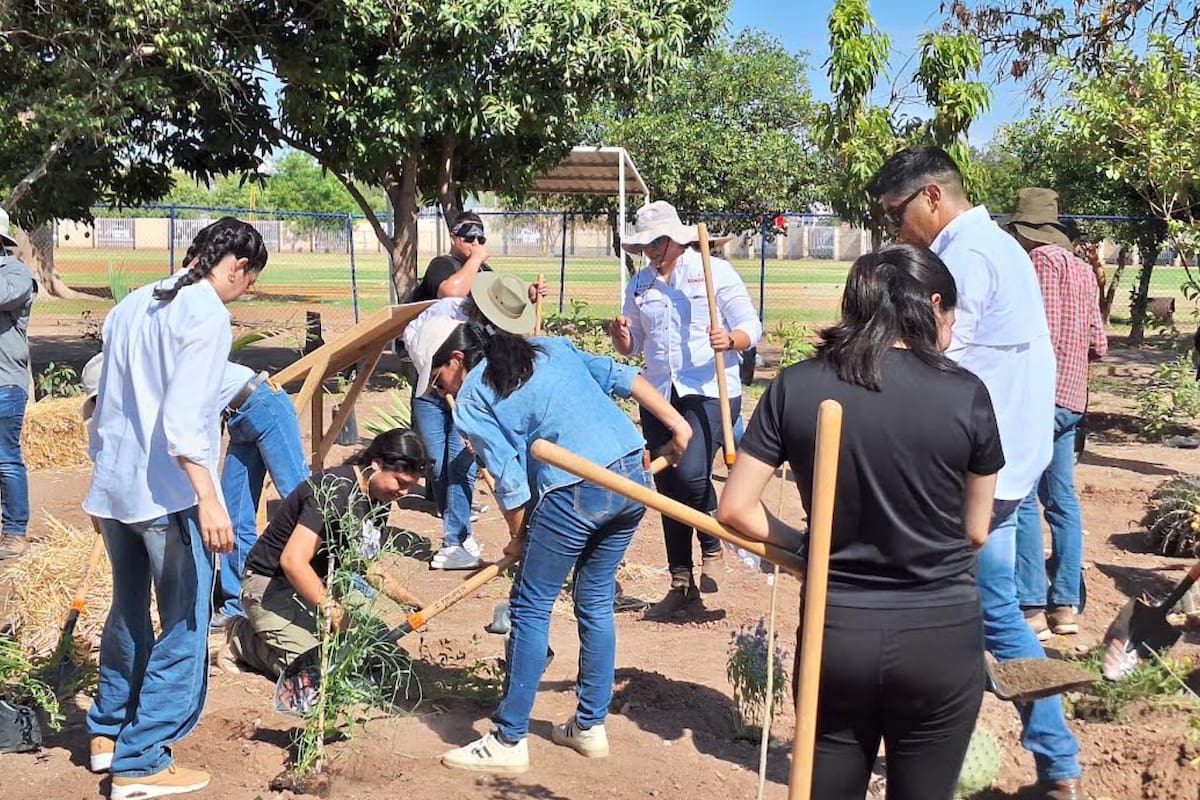Crean jardín de polinizadores en el Iston