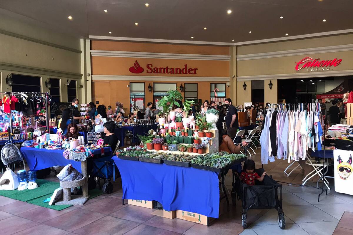 Resaltan la importancia de consumir productos locales en Tijuana