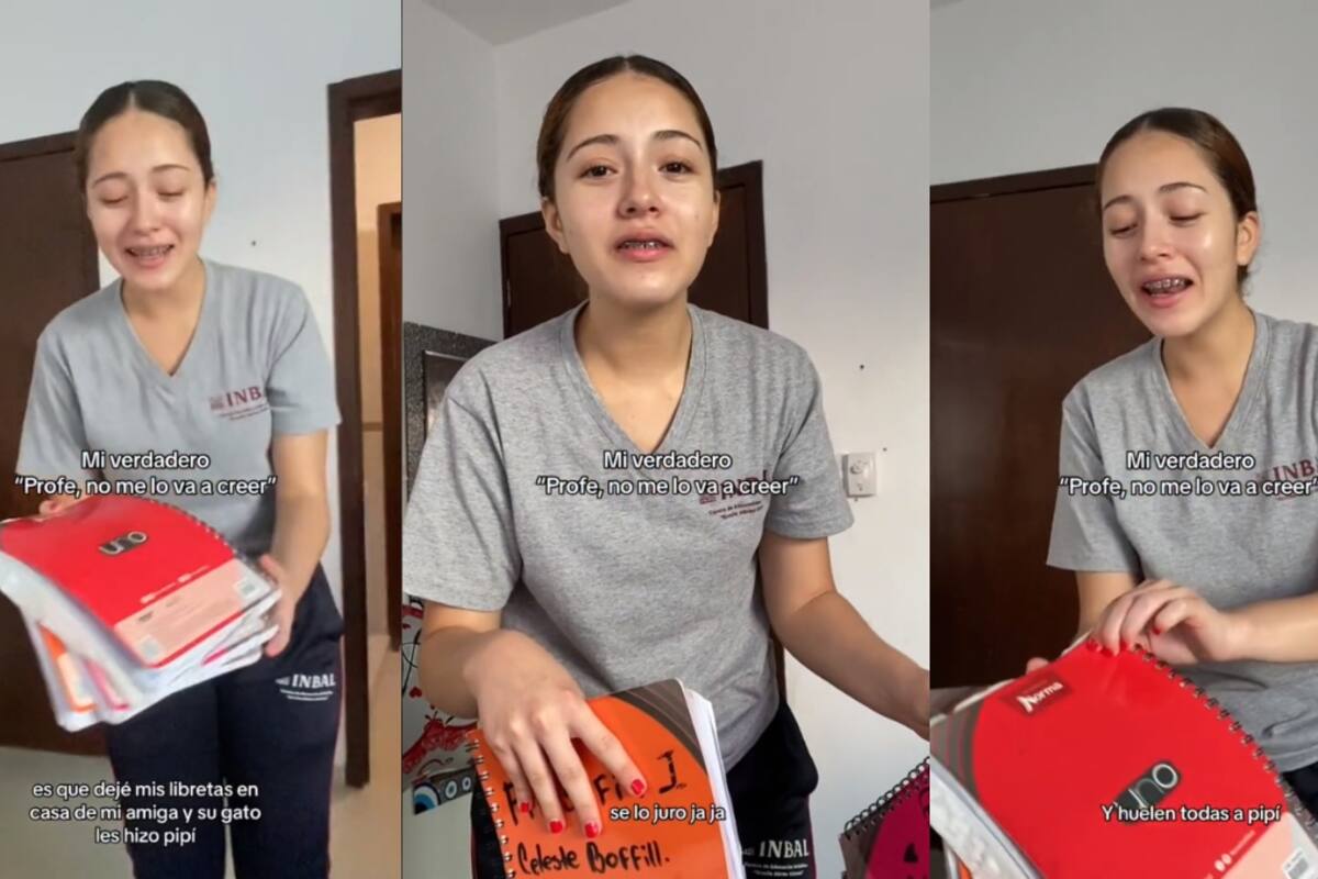 VIRAL: estudiante no puede entregar sus tareas porque el gato de su amiga hizo pipí en sus cuadernos