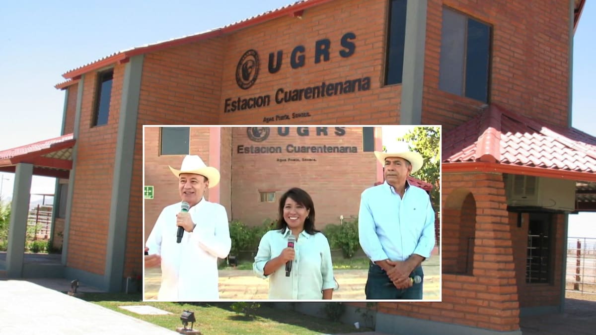 El gobernador Alfonso Durazo y la titular de Sader, Columba López, informaron desde Agua Prieta las medidas sanitarias que acompañarán el primer envío de ganado hacia Estados Unidos. FOTO: ESPECIAL