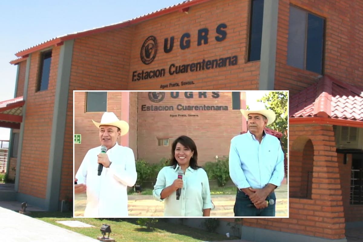 Ante primer envío de ganado por Agua Prieta, Alfonso Durazo anuncia sanidad reforzada y Sader mantendrá trazabilidad desde el nacimiento para sostener exportaciones a EEUU