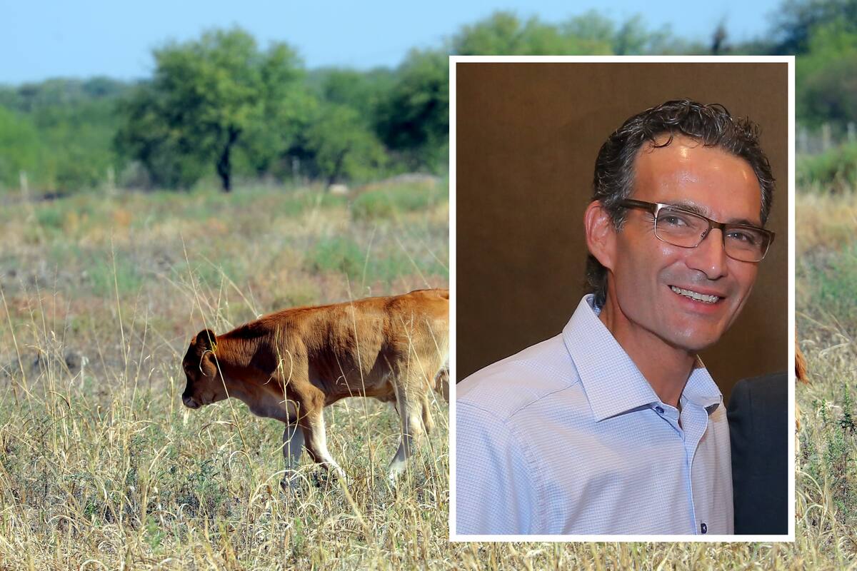 Es tiempo de unidad en el sector ganadero: Baranzini Hurtado