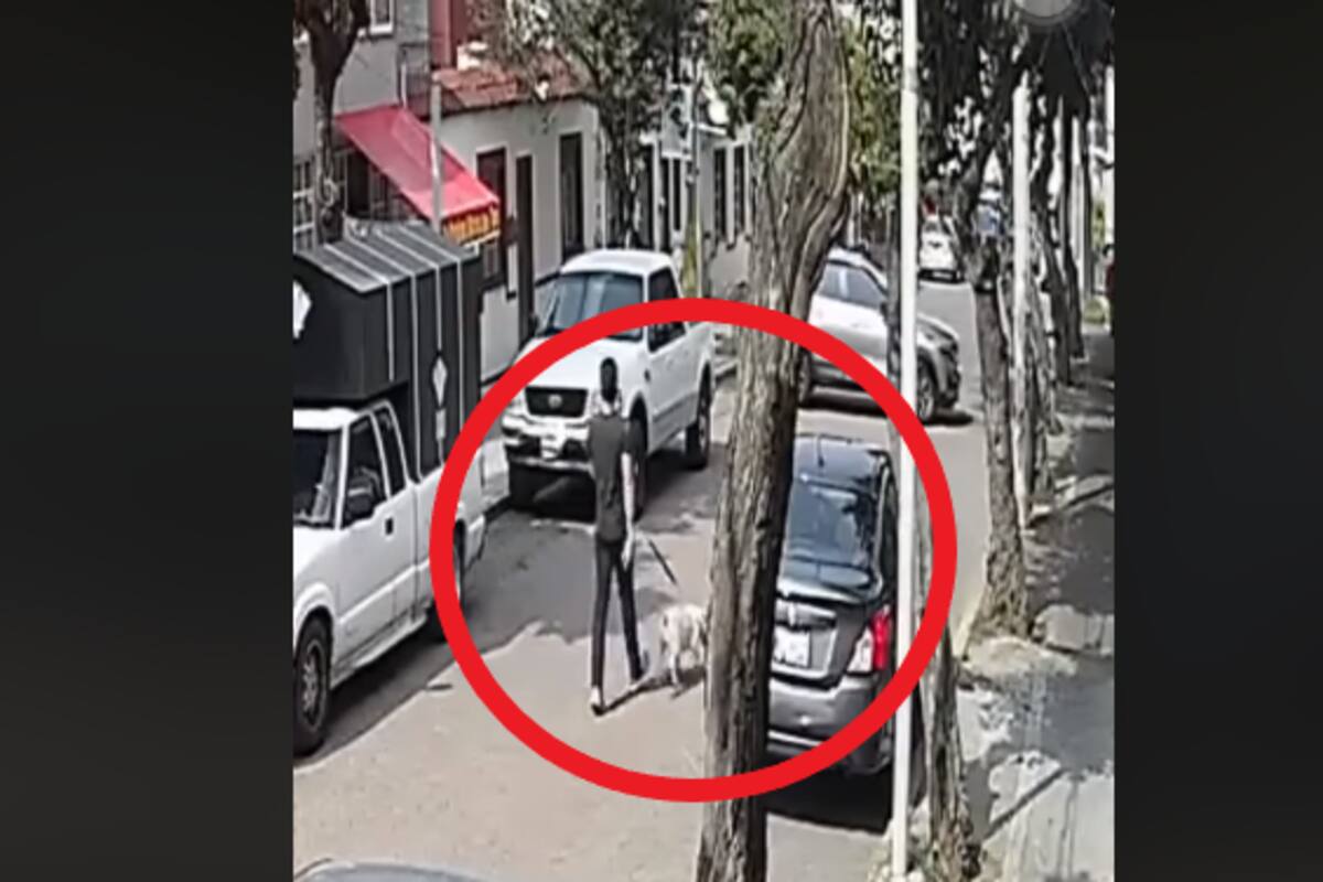 ¡Aterrador! Camioneta pasa por encima de joven con todo y perro; piden hacer viral el video como denuncia