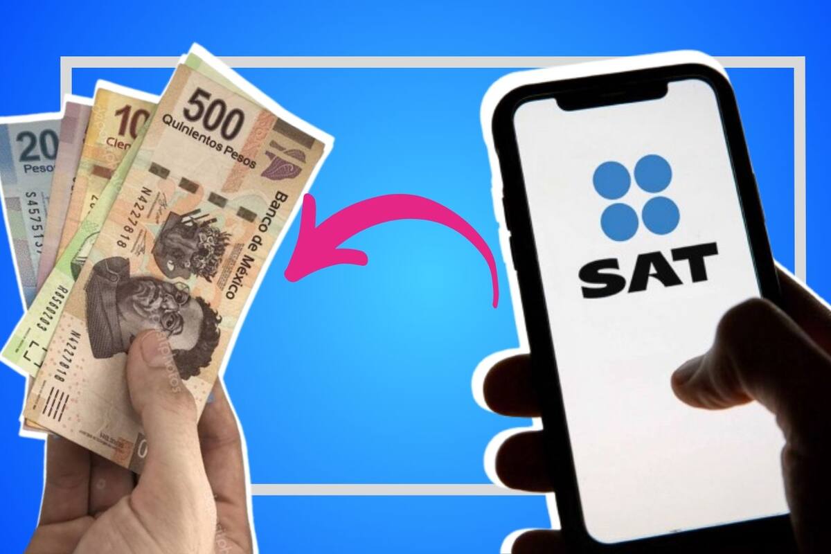 ¿Cómo saber si el SAT me va a devolver saldo a favor después de mi declaración?